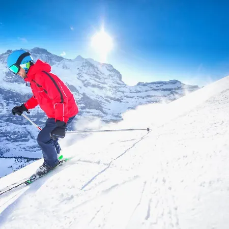 Allod Park Haus C 205 By Interhome Appartamento Davos