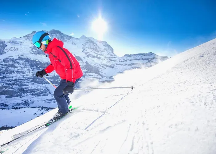 Allod Park Haus C 205 By Interhome Апартаменти Давос